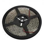 AU-White-600-SMD-3528-Waterproof-10M-LED-Strip-Light-4.jpg